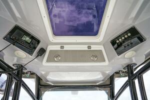 Photo 3910231 for 2021 Sea Fox 328 Commander  