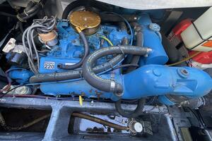 HEY BEAN 28ft Carver Yacht For Sale