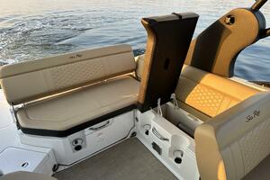 Photo 3977872 for 2018 Sea Ray 250 SDX  