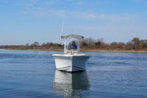 Photo 3992956 for 2017 Sea Fox 226 Commander  