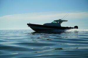 2008 Protector 38 Tauranga thumbnail 10