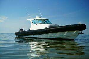 2008 Protector 38 Tauranga thumbnail 27