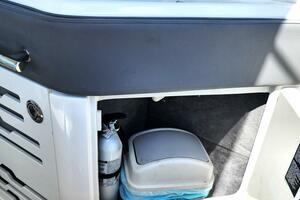 Photo 4303345 for 2020 Sea Ray 210 SLX OB  