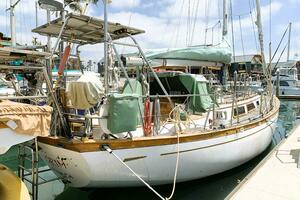 1979 Litton Perry 41 thumbnail 3