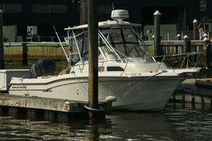 Photo 4353253 for 2009 Grady-White 258 Journey  