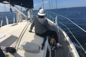 40ft Norseman Yacht For Sale
