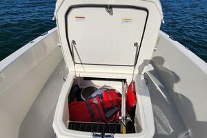 Photo 4418915 for 2023 Boston Whaler 220 Dauntless  