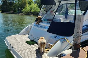 2008 Crownline 340 Cruiser thumbnail 7
