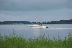 2016 Grady-White Express 330 thumbnail 27