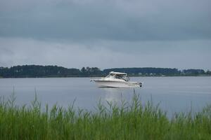 2016 Grady-White Express 330 thumbnail 28