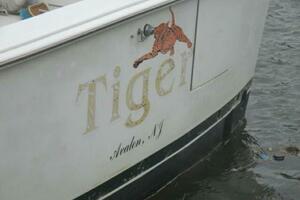 Tiger 35ft Egg Harbor Yacht For Sale