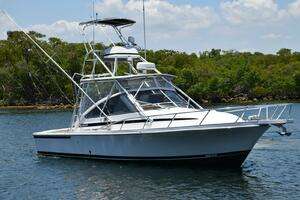 1995 Blackfin Combi 33 thumbnail 1