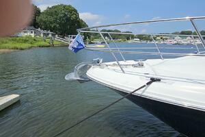 MOLLY 44ft Sea Ray Yacht For Sale