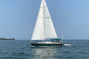 41ft Tartan Yacht For Sale