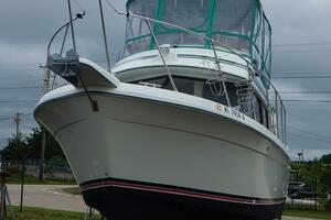 Greener Pastures 28ft Carver Yacht For Sale
