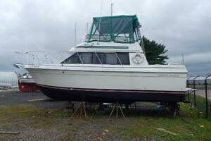 Greener Pastures 28ft Carver Yacht For Sale