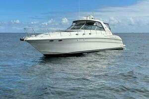 Paulay D 2005 Sea Ray 600 Sun Sport Yacht For Sale in Fort Lauderdale FL