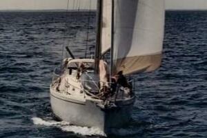 Vessel Image #50