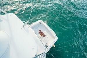 2005 Viking Convertible thumbnail 61