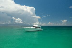 2015 Viking 70 Convertible thumbnail 49