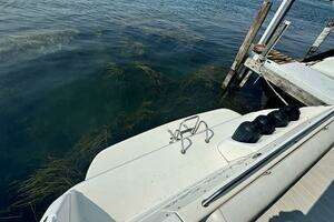 1995 Sea Ray Express Cruiser thumbnail 8