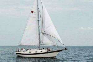 1985 Bayfield thumbnail 39