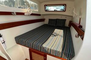 Watts Up Doc 38ft Maine Cat Yacht For Sale