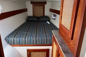 Watts Up Doc 38ft Maine Cat Yacht For Sale