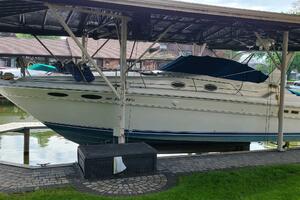 Sea Ray