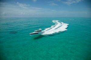 2025 Wellcraft 38 Explorer thumbnail 6
