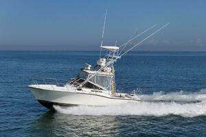 1999 Carolina Classic 28 Express thumbnail 1