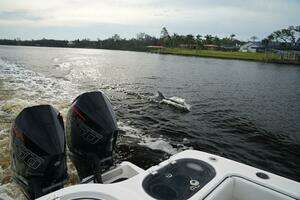 2022 Invincible 46 Catamaran thumbnail 28