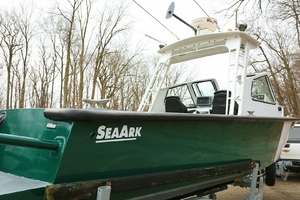 25ft SeaArk Yacht For Sale