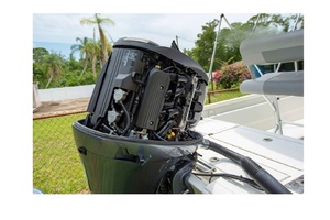 20ft Avid Yacht For Sale
