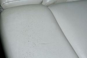 28ft Four Winns Yacht For Sale