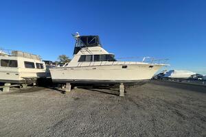 NO NAME 37ft Silverton Yacht For Sale