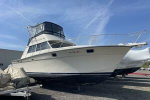 NO NAME 37ft Silverton Yacht For Sale