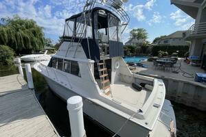 NO NAME 37ft Silverton Yacht For Sale