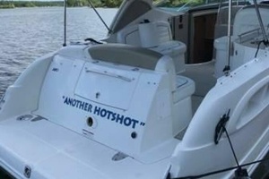 ANOTHER HOTSHOT 31ft Sea Ray Yacht For Sale