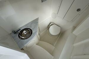 Photo 4948714 for 2023 World Cat 296 DC  