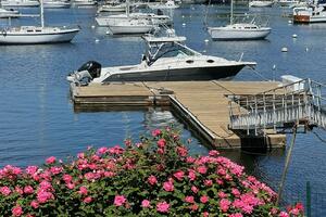 Photo 4941087 for 2018 Wellcraft 290 Coastal  