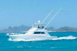 1988 Bertram 54' thumbnail 6
