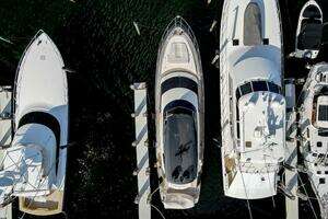2016 Marquis 660 Sport Yacht thumbnail 4