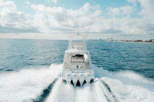 2017 Boston Whaler thumbnail 3