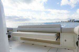 2017 Boston Whaler thumbnail 15