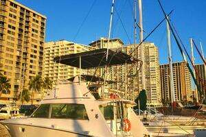 1979 Bertram 38 Convertible Sportfisher thumbnail 17