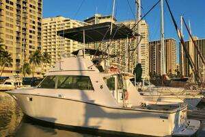 1979 Bertram 38 Convertible Sportfisher thumbnail 1
