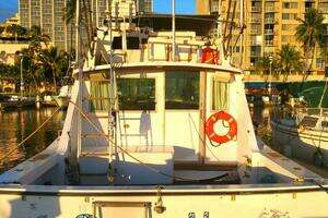 1979 Bertram 38 Convertible Sportfisher thumbnail 16