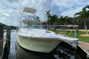 Picture of Tropical High