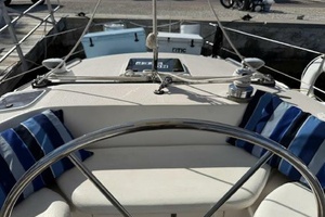 WILD THING 44ft Morgan Yacht For Sale